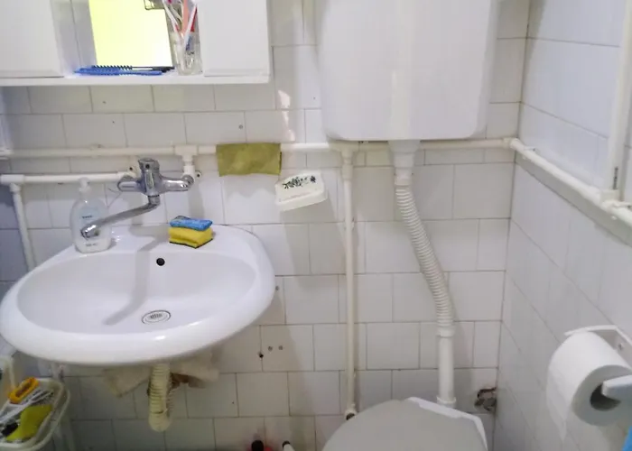 民宿 Smestaj Veselka Sremska Kamenica