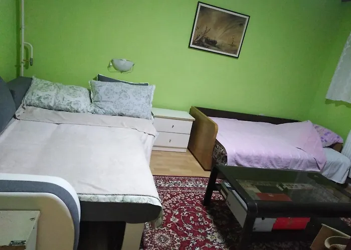 Smestaj Veselka 民宿 *