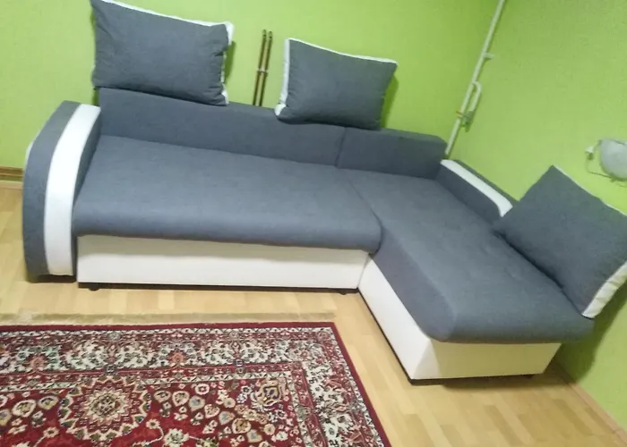 Smestaj Veselka 民宿 Sremska Kamenica